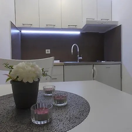 Studio Igor Apartament Vrsar