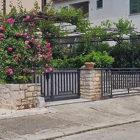 Studio Igor Apartament