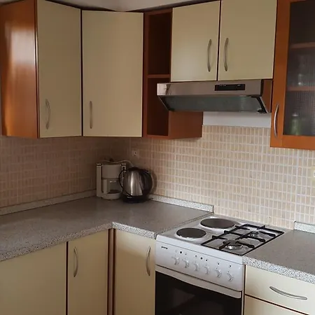 Apartment Studio Igor *