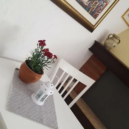 Studio Igor *